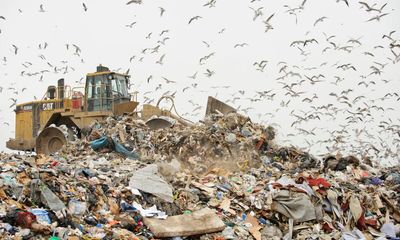 Decontamination of landfill waste leads to increase in toxic chemicals, says study