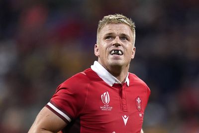 Gareth Anscombe’s dreams of representing Wales again drove his recovery