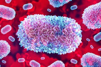 How to tell if you have an Mpox skin rash and other symptoms