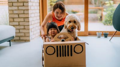 Trainer reveals subtle sign your dog is uncomfortable — and being aware of it can build trust and strengthen your bond