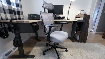 ProtoArc EC100 review: the new budget ergonomic chair to beat