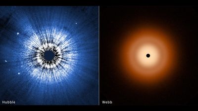 'Vega continues to be unusual:' Lack of planets around young star puzzles astronomers