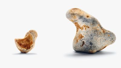 ‘There are hidden things out there, we just need to look’: Studiomama's stone animals have quirky charm