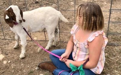 US family reaches settlement after child’s goat was seized and slaughtered