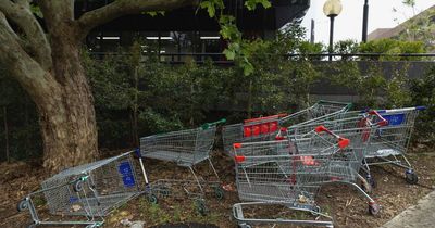 'Don't see this at Aldi': Coins may be the key to shopping trolley returns