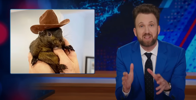 The Daily Show mocks Trump campaign’s closing message about Peanut the Squirrel’s death