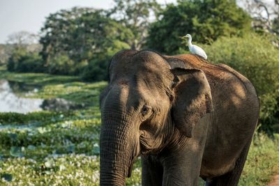Sri Lanka on your bucket list? Here’s why you should book that trip with ETG