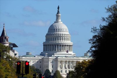 Man ‘smelling of fuel’ and carrying flare gun arrested at US Capitol on Election Day