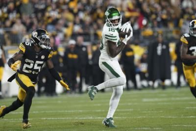 Steelers Trade For Jets' Struggling Wide Receiver Mike Williams