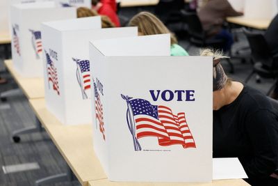 US presidential election: How do exit polls work?