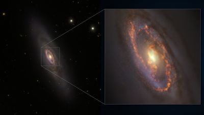 Astronomers spot unusually synchronized star formation in ancient galaxy for 1st time