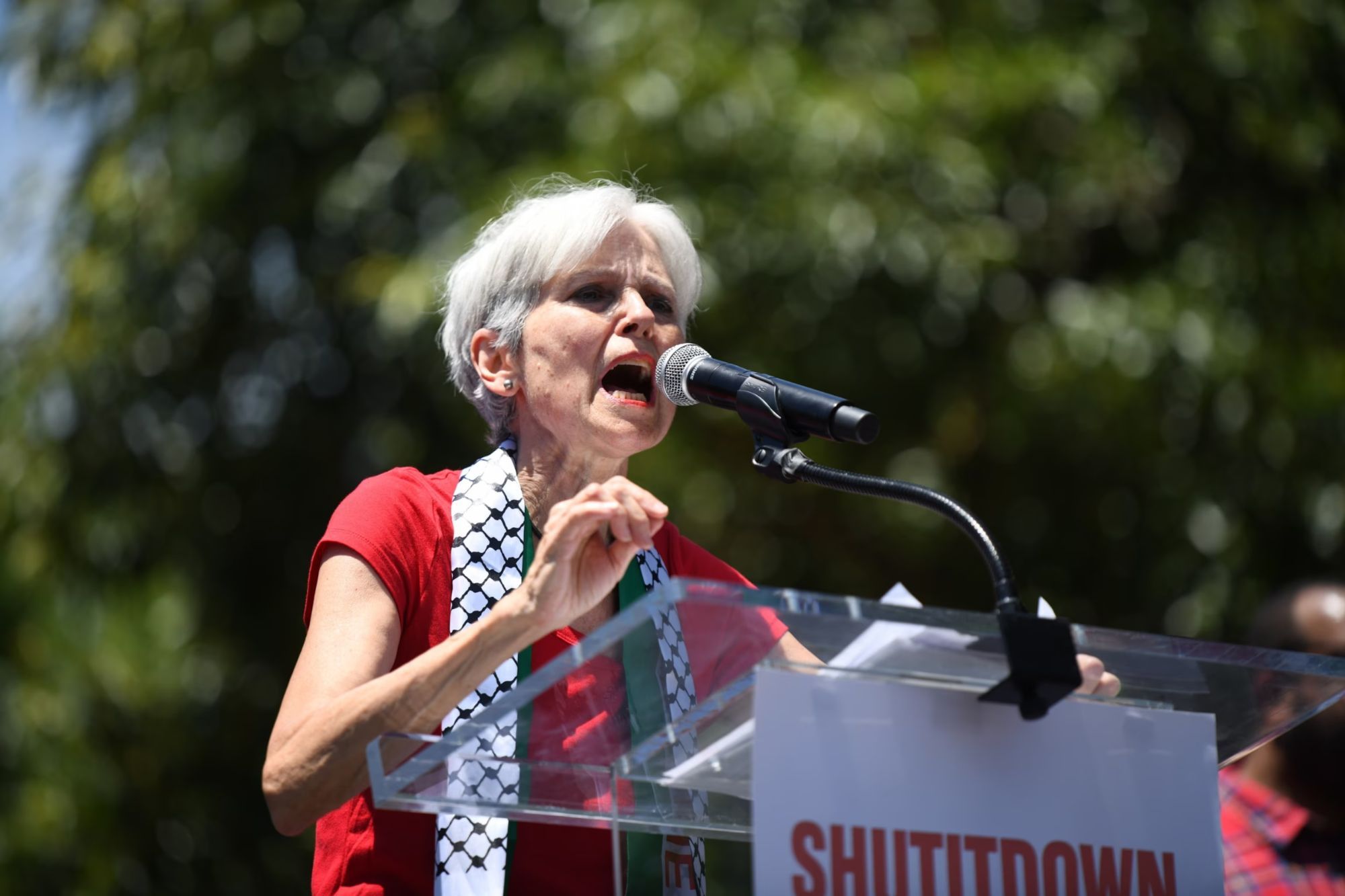 Green Parties Around the World Ask Jill Stein to Quit…