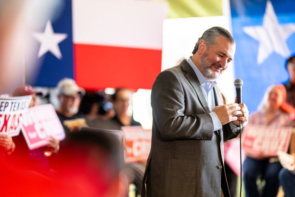 Trump Ally Ted Cruz Survives Another Aggressive Challenge to His Texas Senate Seat