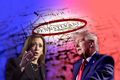 "No truth" to Trump's "cheating" claim