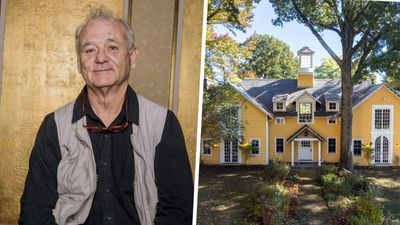 Bill Murray covered his New York home in a bright yellow hue – designers decode how the unorthodox hue can help sell your home