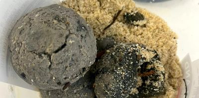 Black balls on Sydney beaches are likely ‘fatbergs’ showing traces of human faeces, methamphetamine and PFAS: new analysis