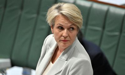 Tanya Plibersek was rebuked by NSW minister for decision to block $900m goldmine, documents reveal