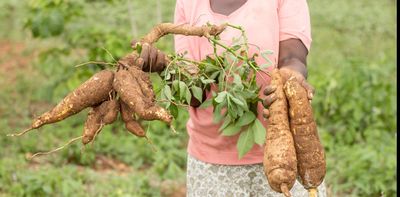 Food security in Africa: managing water will be vital in a rapidly growing region