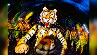 Amazing 'tiger dance' photo was shot with pop-up flash and a slow shutter speed