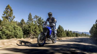 Yamaha's Tenere Off-Road Motorcycle Is More Rally-Ready Than Ever Before