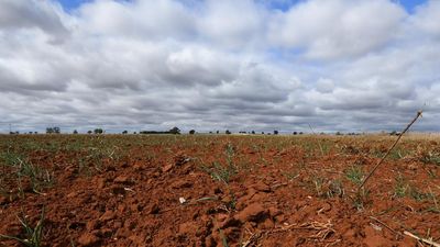 Climate investors told to press ahead despite Trump