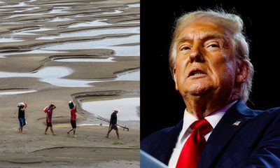 ‘A wrecking ball’: experts warn Trump’s win sets back global climate action