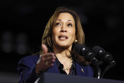 #DoNotConcedeKamala Trends on Social Media as Dem Voters Struggle with Decisive Trump Victory: 'Demand A Recount'