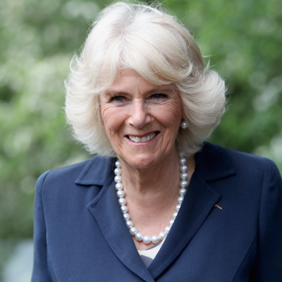 Buckingham Palace issues announcement following Queen Camilla's recent health update