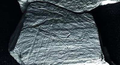 Engravings from nearly 16,000 years ago peel back the curtain on ancient European society