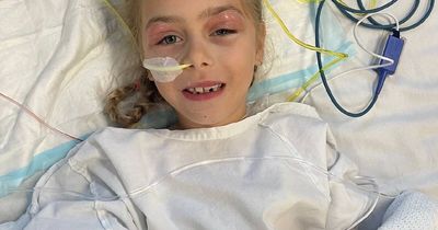 'Brave and strong': 8-year-old Azalea's incredible will to survive