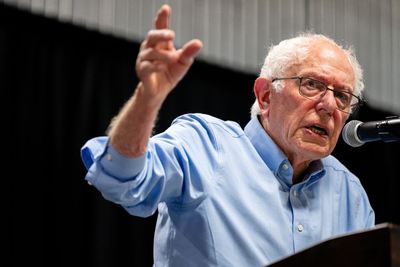 Bernie Sanders Tears Into Democratic Party Over Loss to Trump: 'American People Are Angry and Want Change'