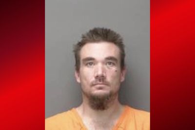 Minnesota Man Kills Girlfriend While House-Sitting, Informs Vacationing Homeowner Over Snapchat: Cops