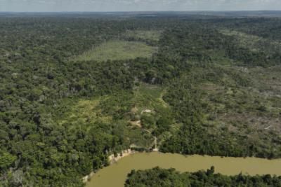 Brazil Sees Significant Drop In Amazon Deforestation