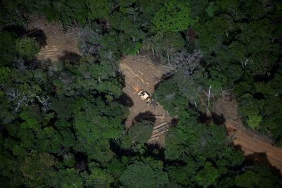 Brazil's Amazon Posts Lowest Deforestation In Nine Years: Govt