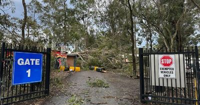 School reopens after large trees smash campus in wild storm