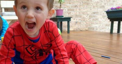 William Tyrrell's foster mother says if she had dumped his body, she would have confessed