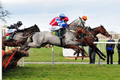 Racing Tips: Andrew Mount's Spreadex Analysis - Thursday, November 7th - Sportscasting UK