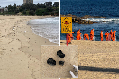 Mystery of 'disgusting' balls that shut beaches in Sydney solved