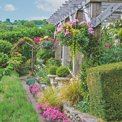 This is the slug hack the King’s gardener swears by - and all you need is yeast and sugar