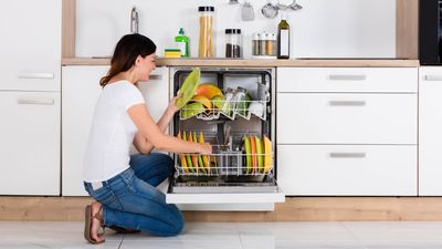 How to deep clean a dishwasher — with top tips from a cleaning expert