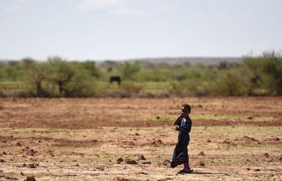 2024 ‘virtually certain’ to be world’s warmest year on record for second consecutive year