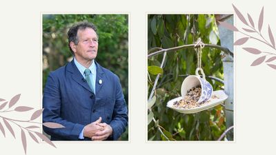 Monty Don reveals the best foods to feed birds this winter – and what to avoid at all costs