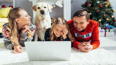 The best dog Christmas movies to watch with your pooch