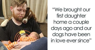 These Dogs Have Been Fawning From A Distance Over Couple’s Newborn Daughter