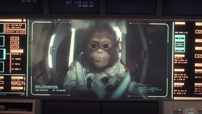 'Beppo go home?' An astronaut monkey steals hearts in tear-jerking SNL skit