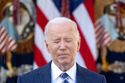 Democrats blame Biden for election loss