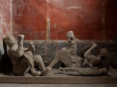 We’ve Been Wrong About the Pompeii Victims All Along