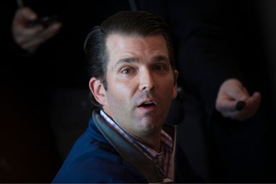 Donald Trump Jr. Says Only 'People Who Don't Think They Know Better' Than His Dad Will Be Allowed to Join Cabinet