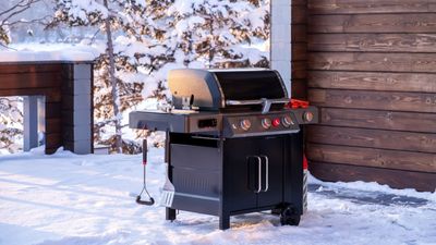 Should I buy a grill on Black Friday? Why buying a grill at the wrong time of year can be the right move