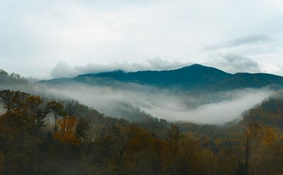 7 Great Ways to Make Your Trip to Gatlinburg Special